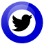 Twitter link